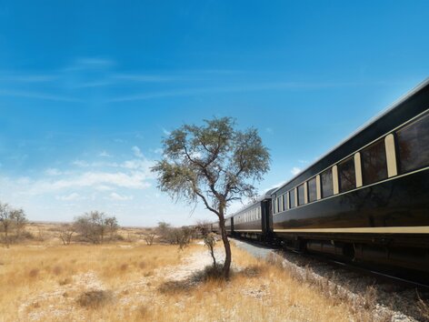 African Explorer | © Julia Nieratschker