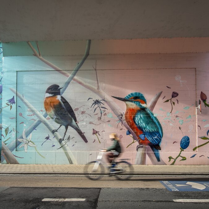 Grossflächiges Street‑Art‑Mural mit farbenfrohen Vogelmotiven an einer Unterführung, davor eine Person auf einem vorbeifahrenden Fahrrad. | © Karl Bruninx, Stad Leuven 