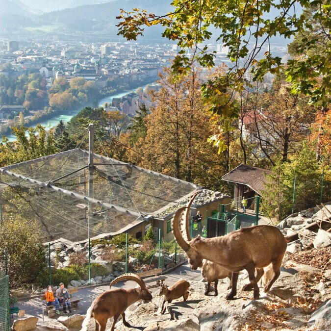 railtour Städtereise Innsbruck | © Innsbruck Tourismus_Christof Lackner