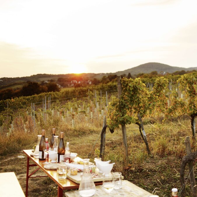 Vineyard with a set table in the foreground | © WienTourismus/Peter Rigaud